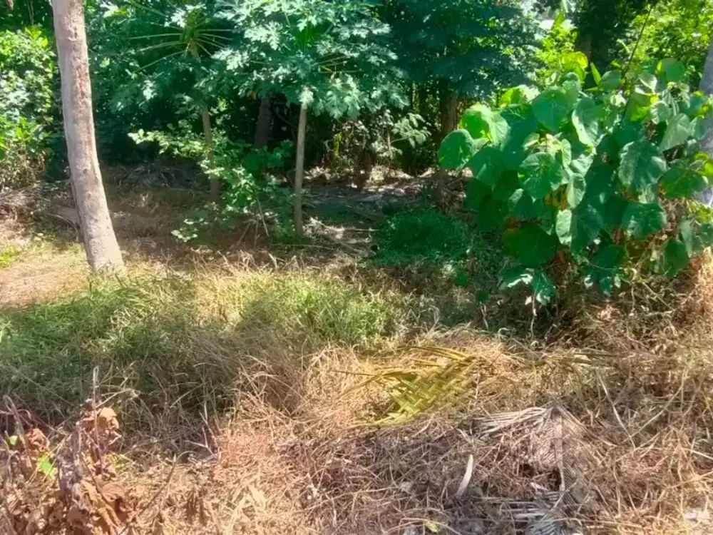 DIJUAL 1 BIDANG TANAH – KABUPATEN GIANYAR