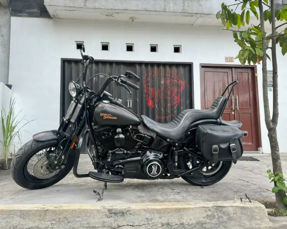 Dijual motor langka rare Harley Davidson Softail Crossbones springer
