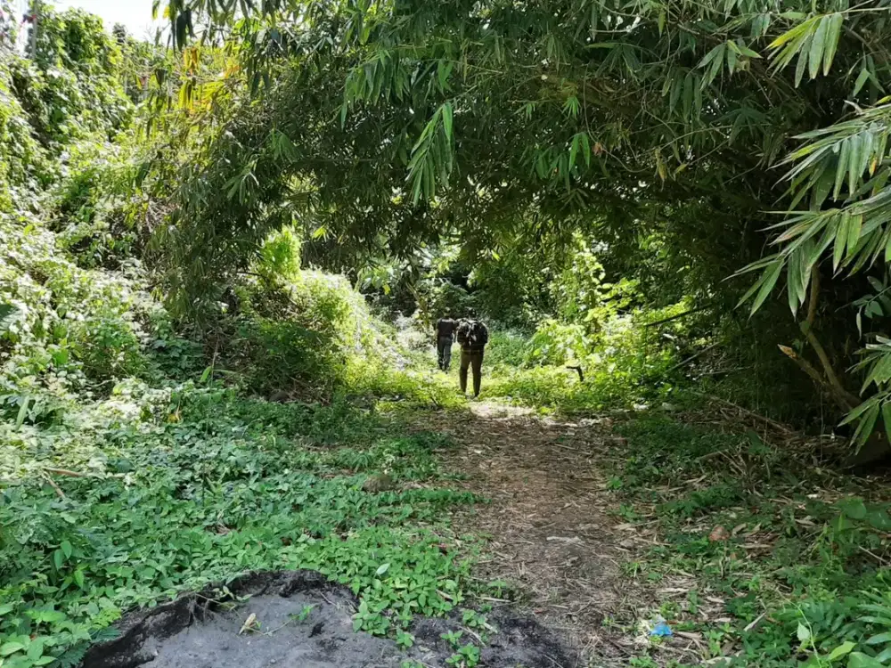 DIJUAL 2 BIDANG TANAH – KABUPATEN GIANYAR