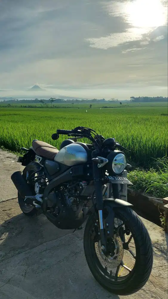 YAMAHA XSR 155 - SILVER