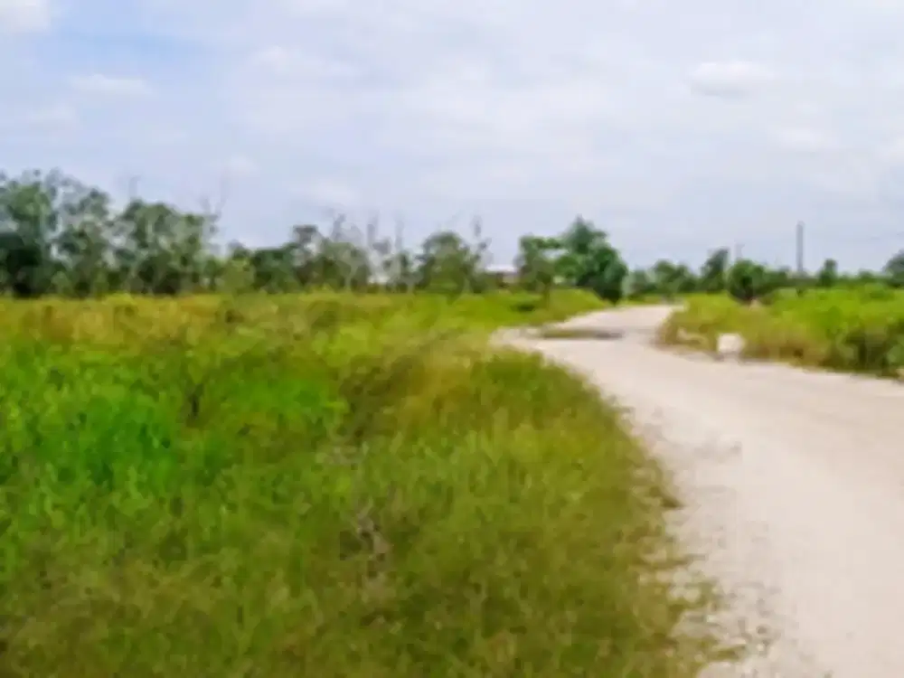 DIJUAL 1 BIDANG TANAH DENGAN TOTAL LUAS 19.249 m2  - PEKANBARU