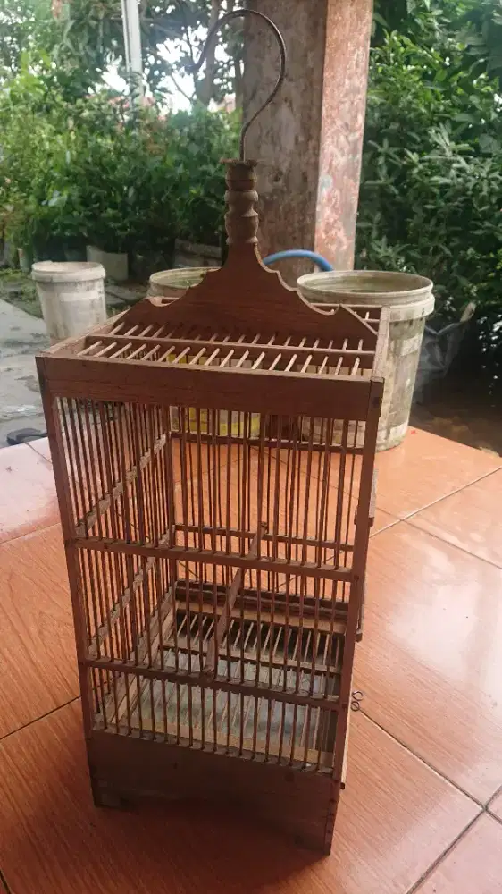 sangkar burcil 24x24