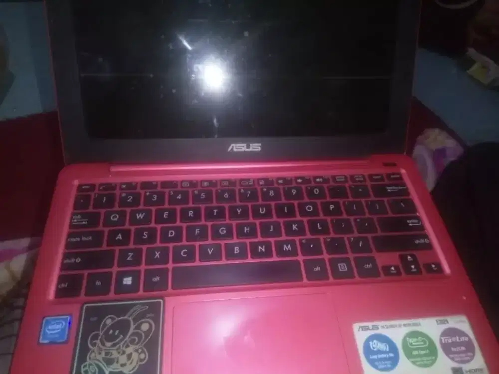 asus e202s ssd 128gb win 10 pro