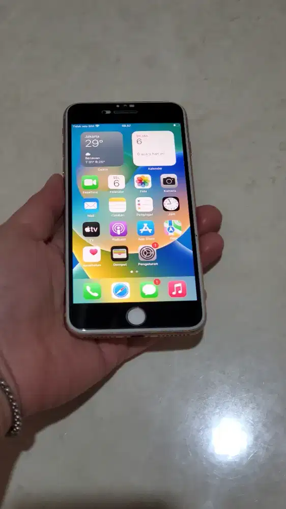 Apple Iphone 8 Plus 256