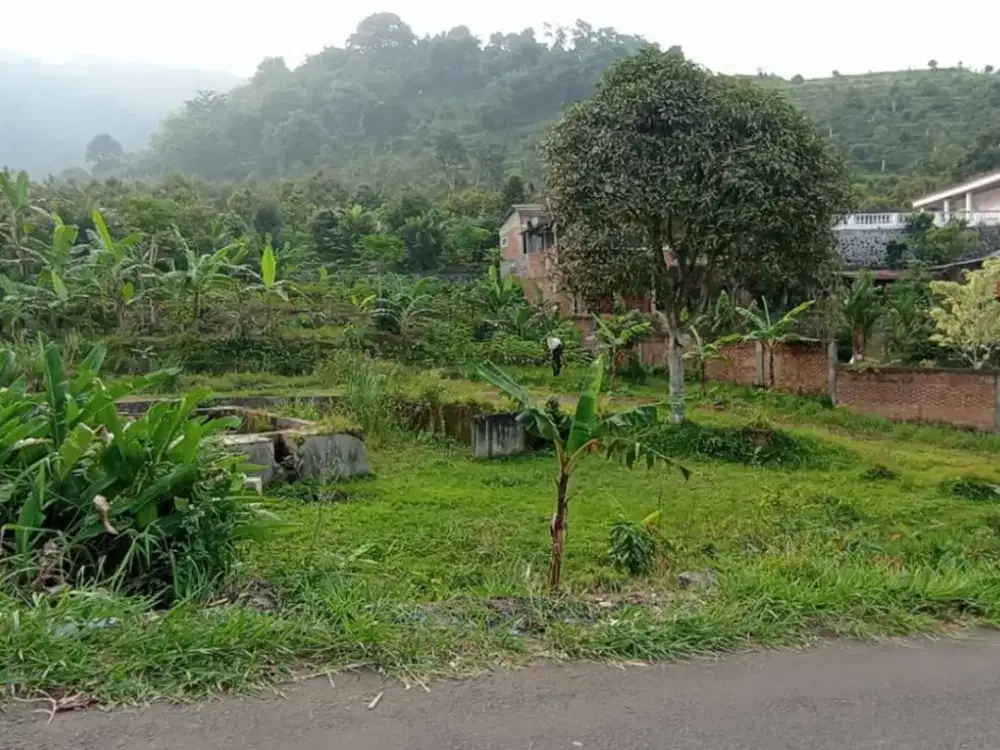 Kavling Cocok Villa Dekat Lennira Glamping Hanya 100 Jutaan Promo Tahun Baru