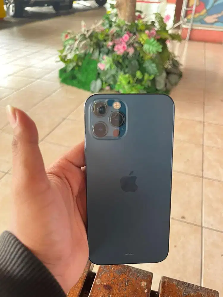 iPhone 12 PRO 256gb ibox