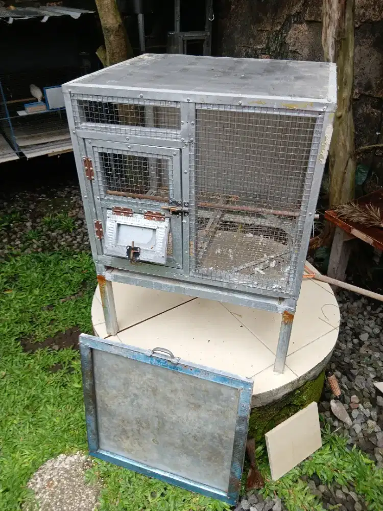 sangkar 60x50 tinggi 80 cm top condition.