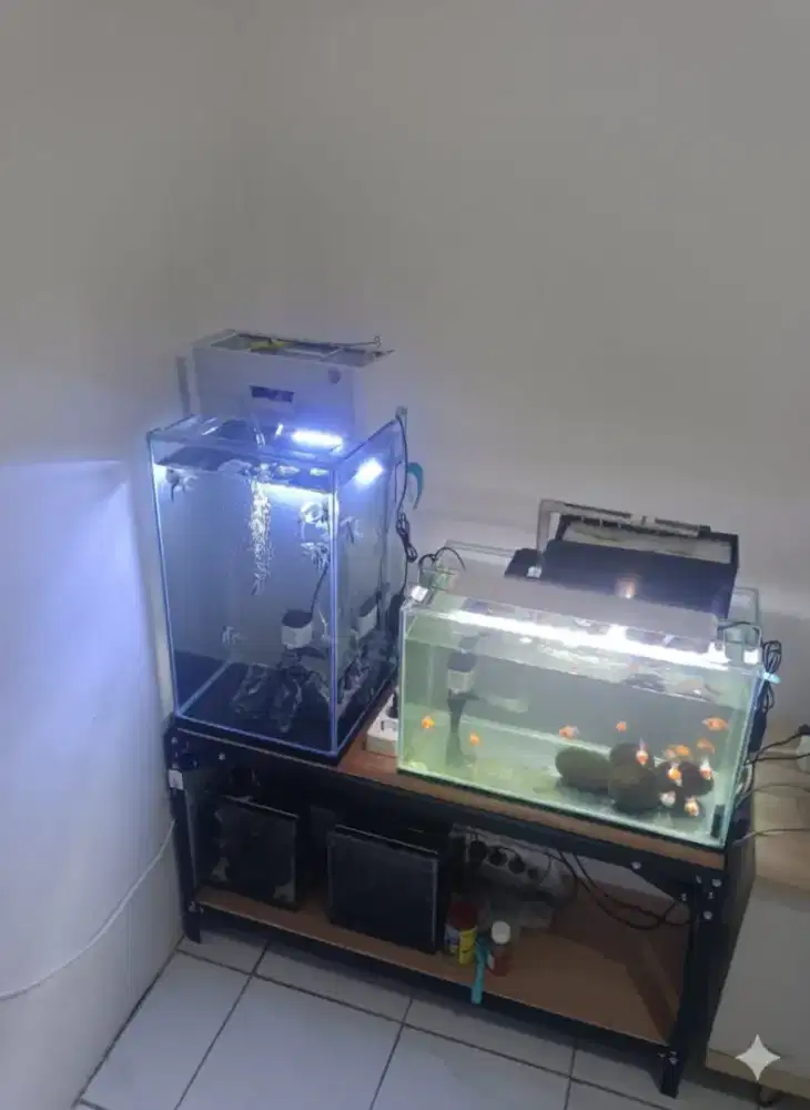 Dijual aquarium fullset beserta isinya Nego