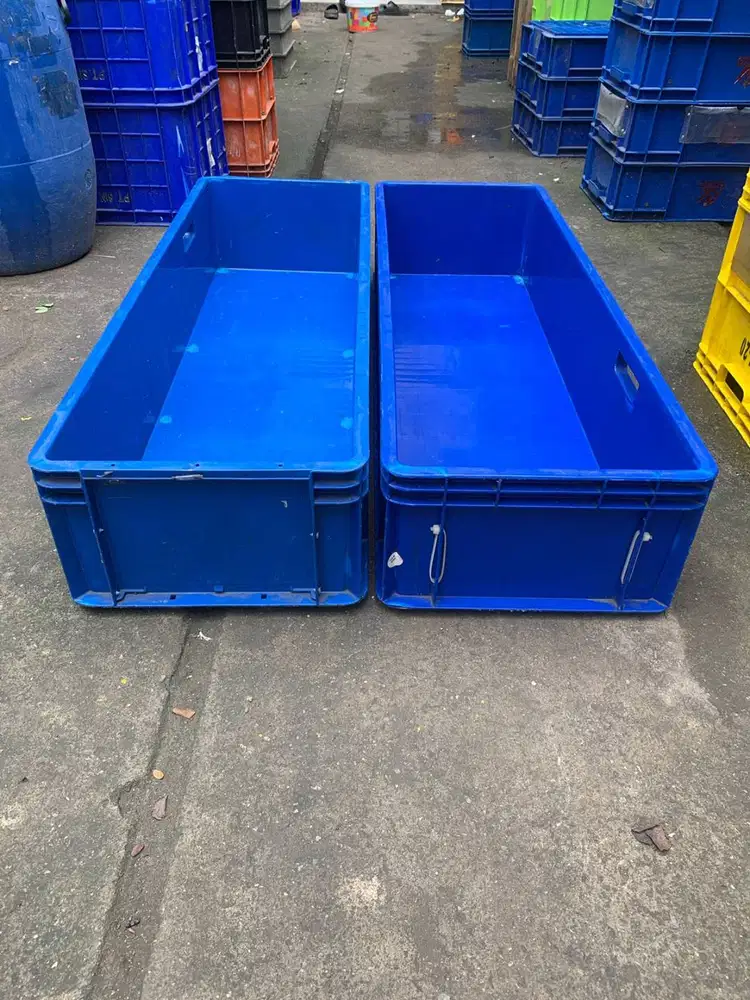 box rabbit 1m wadah piring MBG jabodetabek ei