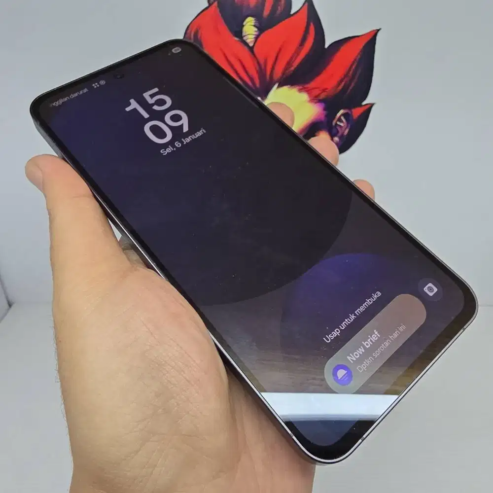 Samsung S24 FE 8/128/256 FULLSET Mulus No Minus