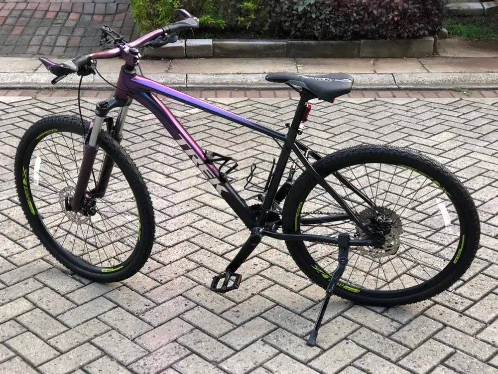 Sepeda Cat Bunglon Label TREK