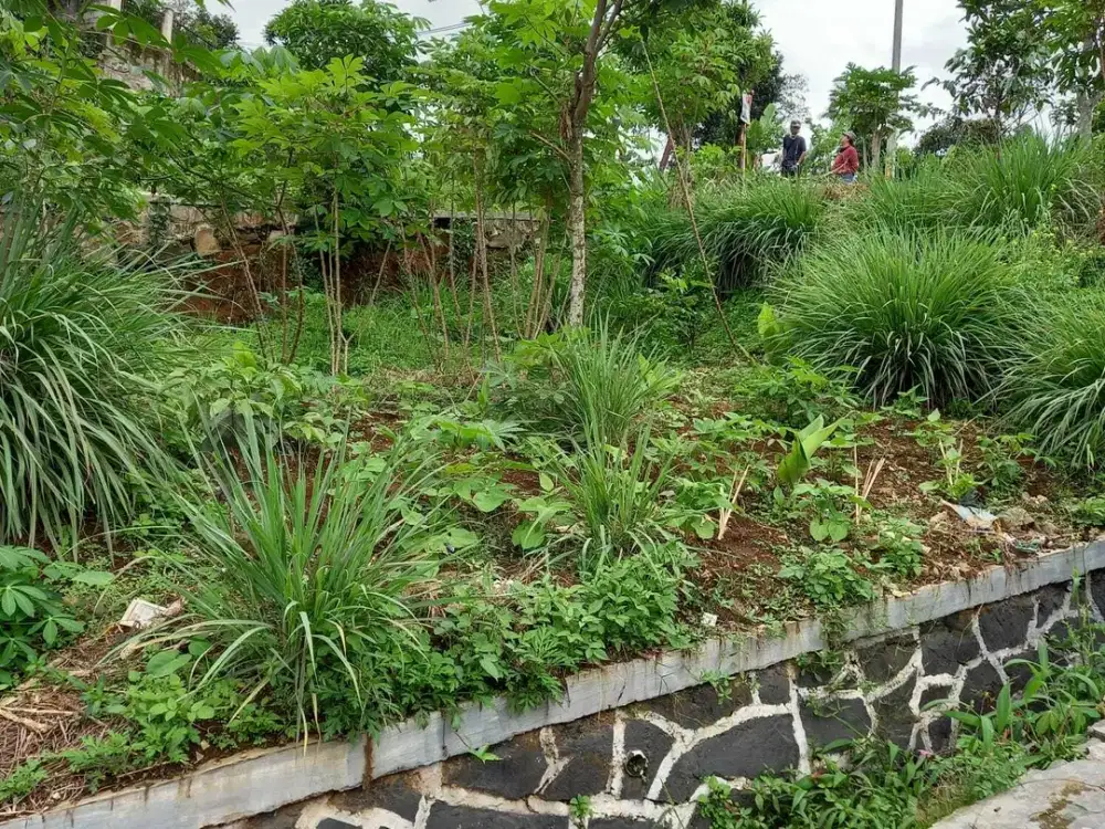 Tanah Kosong Murah di Ciwidey Cocok Untuk Villa Penginapan