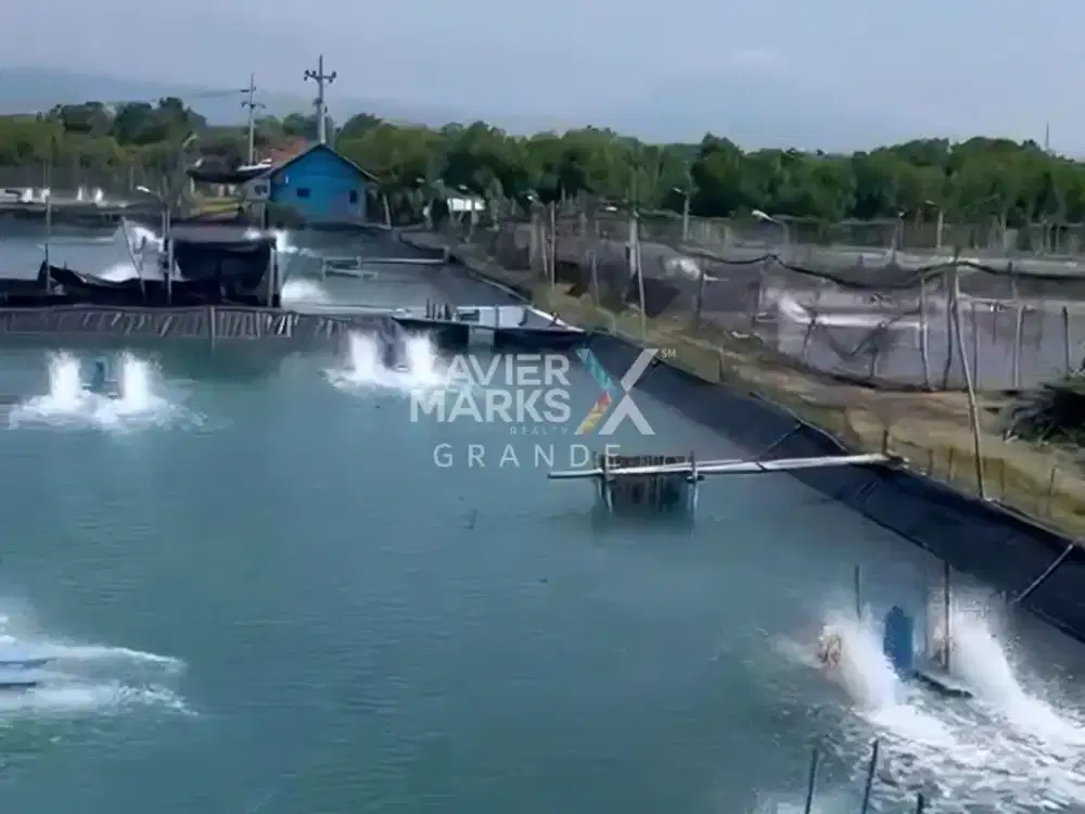 Tanah Tambak Udang Luas 3 Ha Siap Operasi di Probolinggo