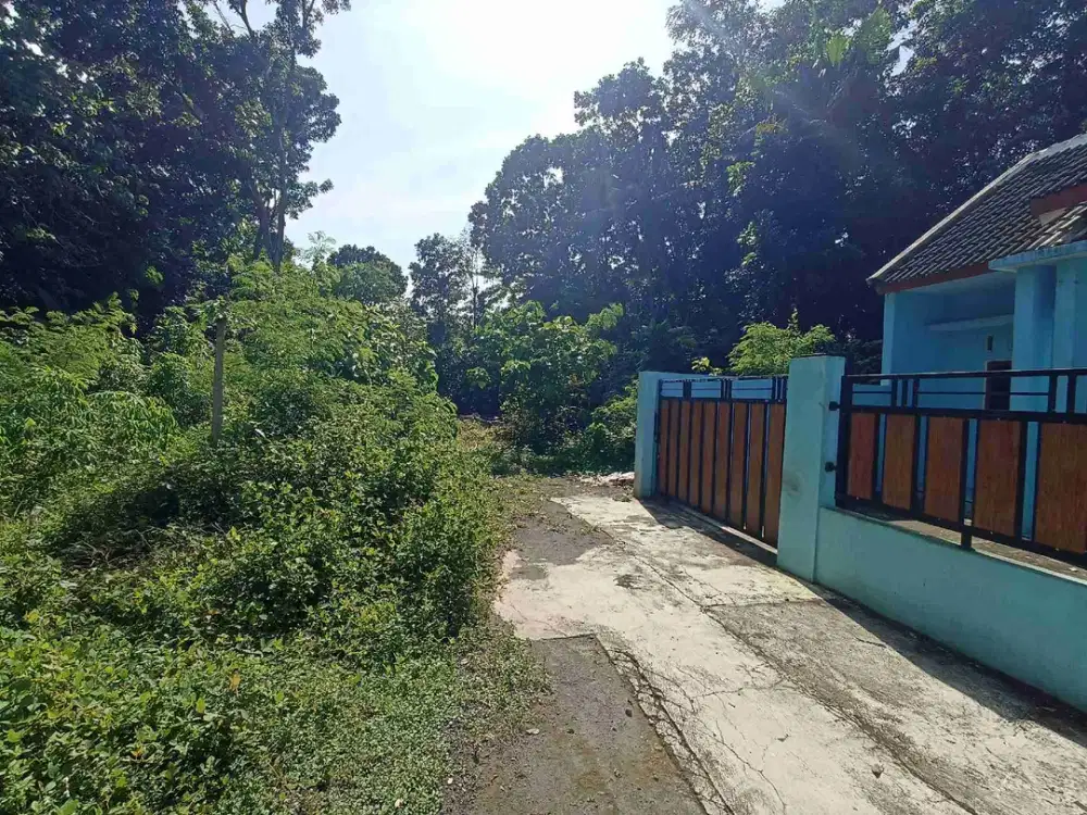 dijual tanah kavling murah L86m dekat LPMP Kalasan,Sleman