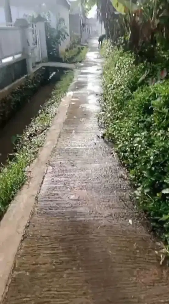 Jual Tanah 1200 m² - 350 ribu/ m² (nego) SHM