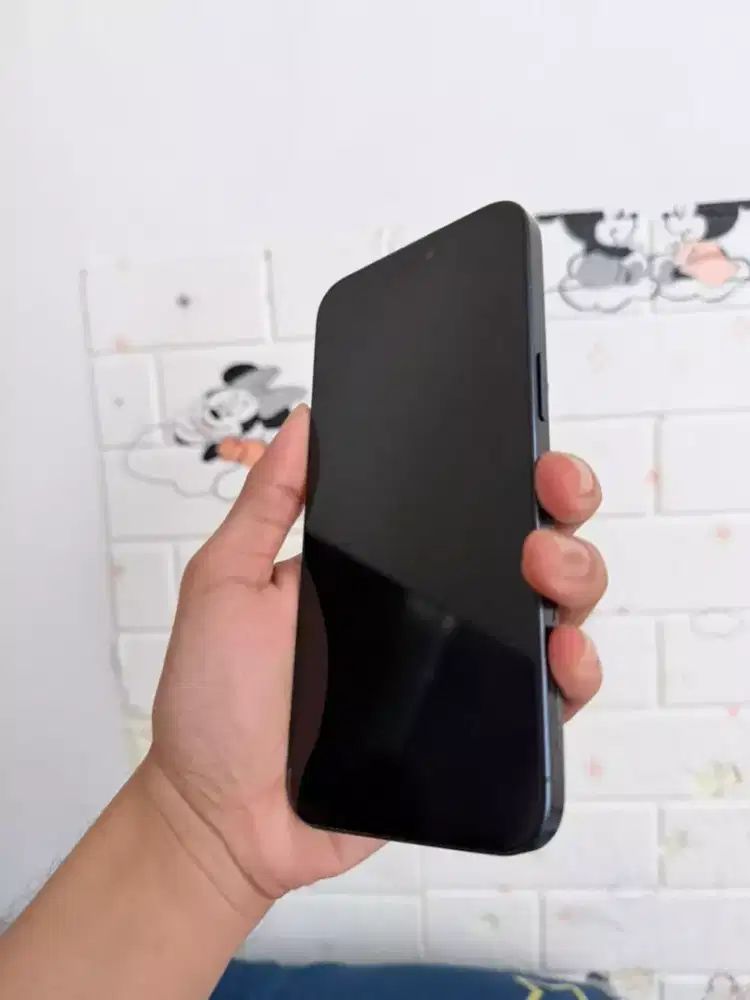 Apple 15 promax /256  ex inter