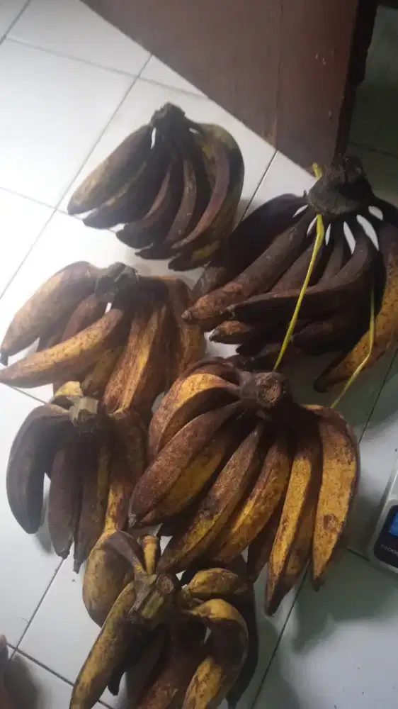 Pisang tanduk per kg