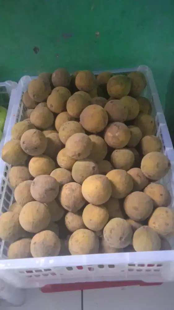 Buah kecapi 1 kg