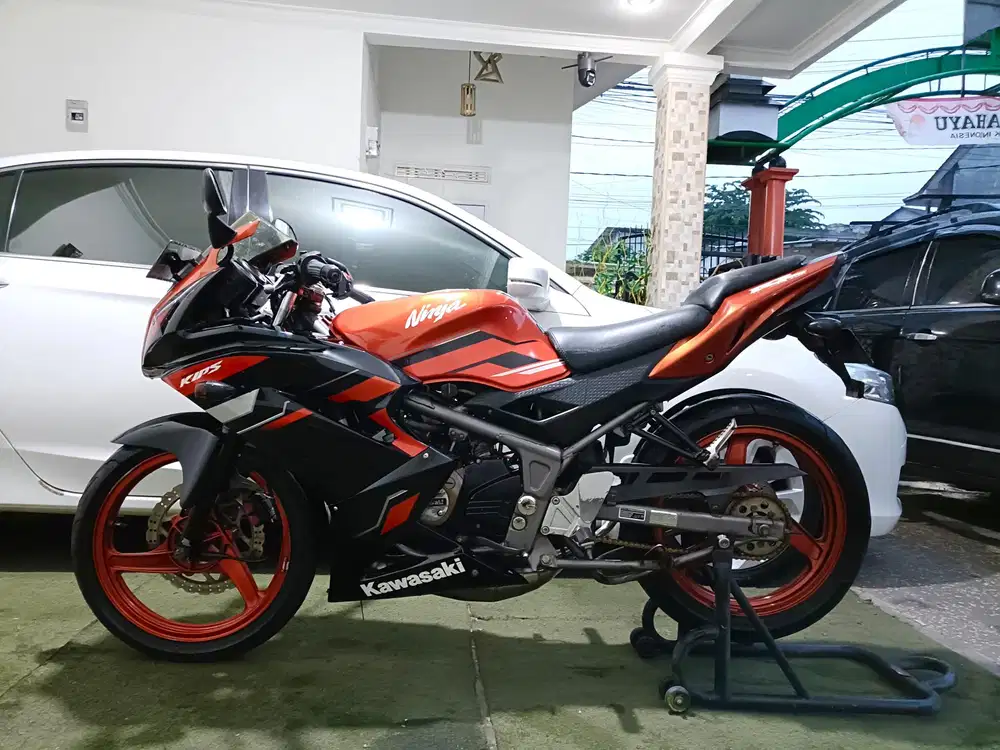 Ninja RR New SE tahun 2015 pajak isi/tt boleh gan cash lebih bagus