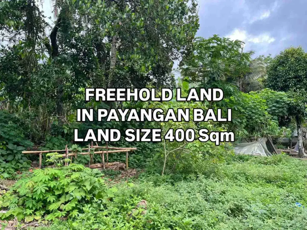 Tanah Dekat Resort dan Obyek Wisata  di Payangan Gianyar Bali
