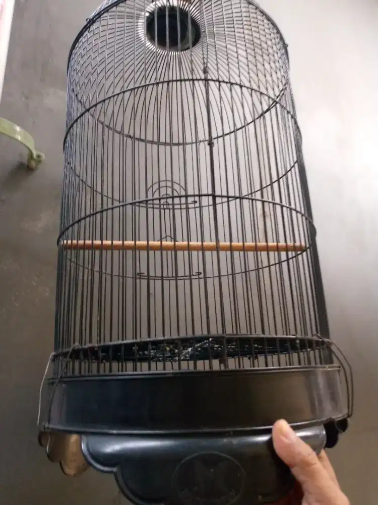 kandang besi burung lovebird