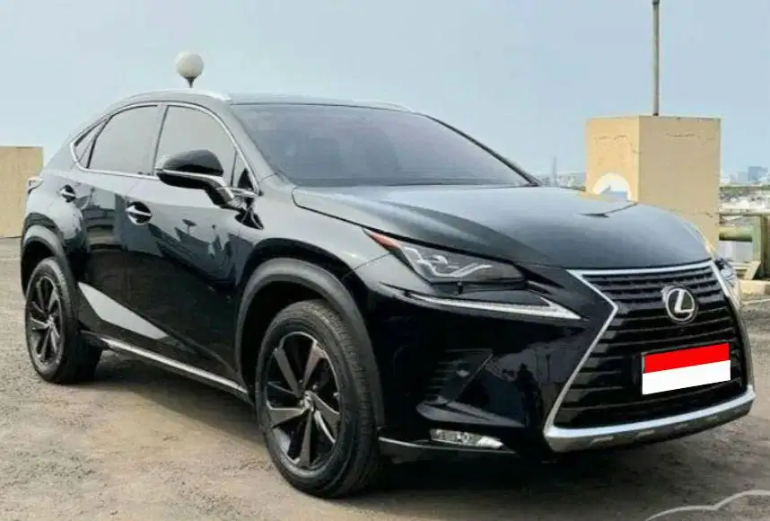 2018 Lexus NX300 Luxury TURBO 350N.m Red Int B Genap Pjk 9/2026*KREDIT