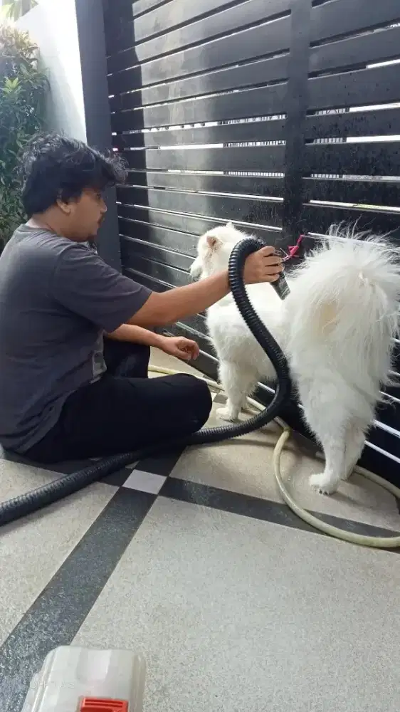 Salon hewan paggilan kerumah