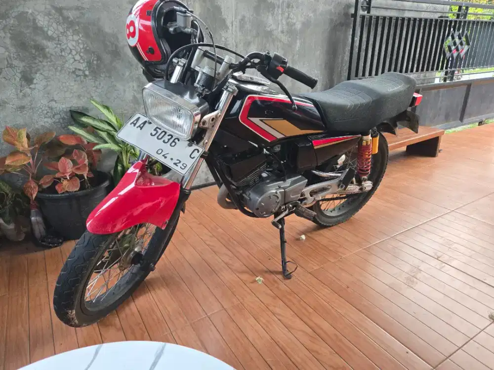 Cobra plat hidup panjng