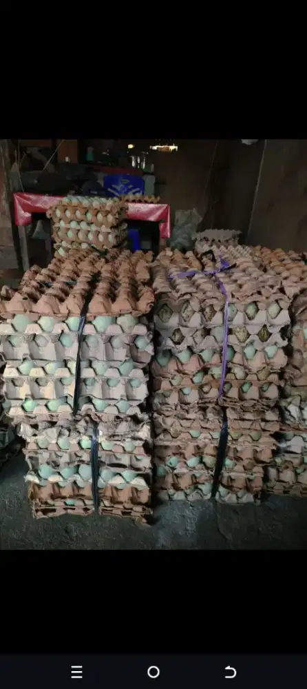 Jual telur asin matang