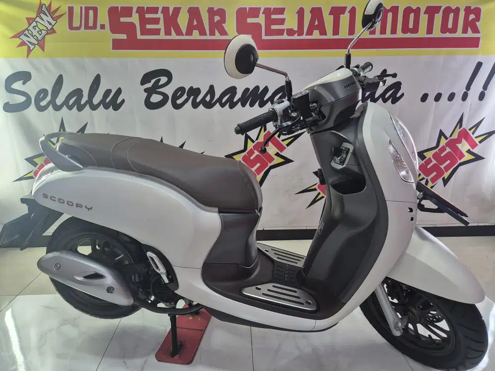 Scoopy Prestige super mulus