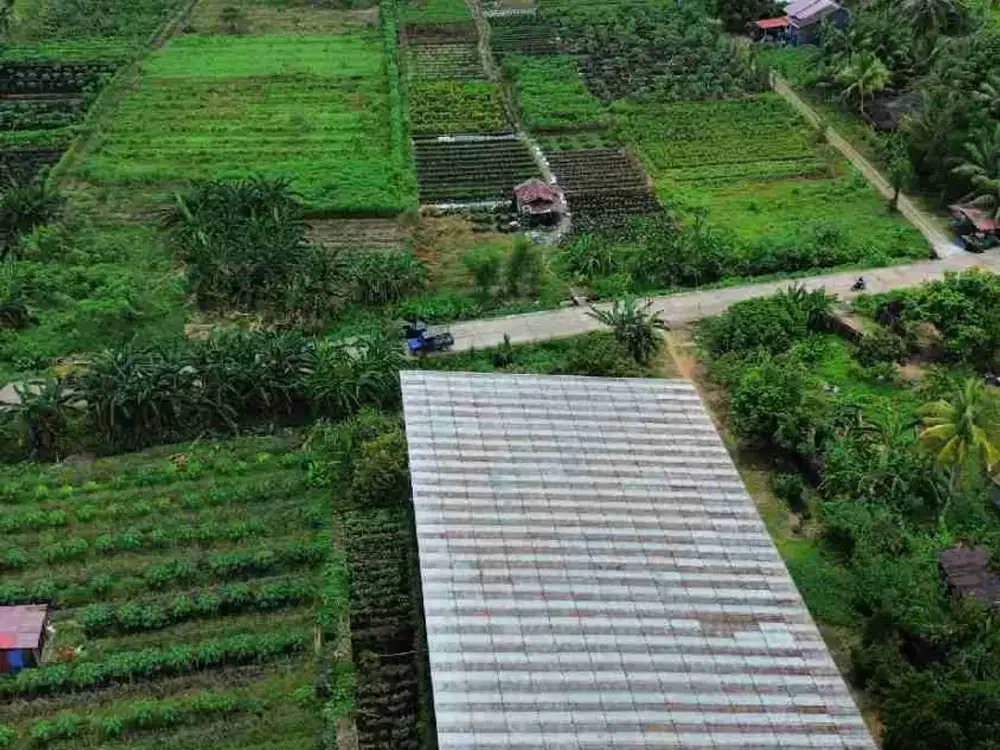 Tanah Tepi Jln.Kebangkitan Nasional