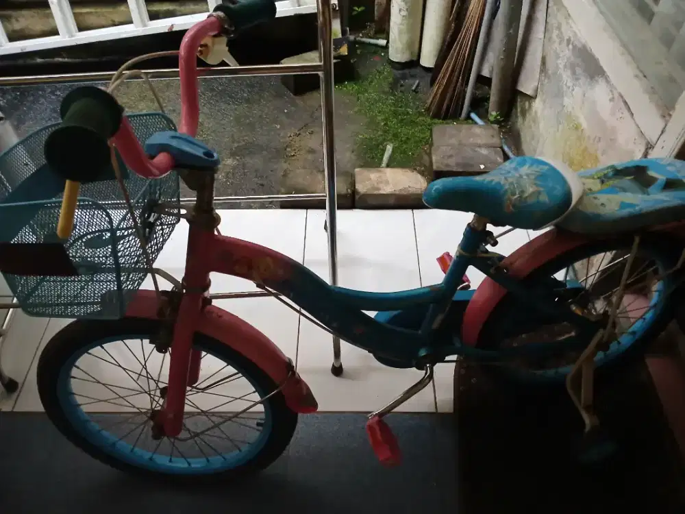Sepeda anak karakter frozen