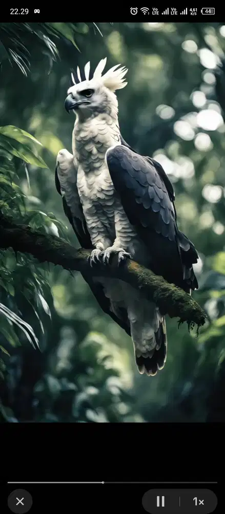 permisi bapak ibu saya usia 23 sedang cari lowongan kerja apa saja