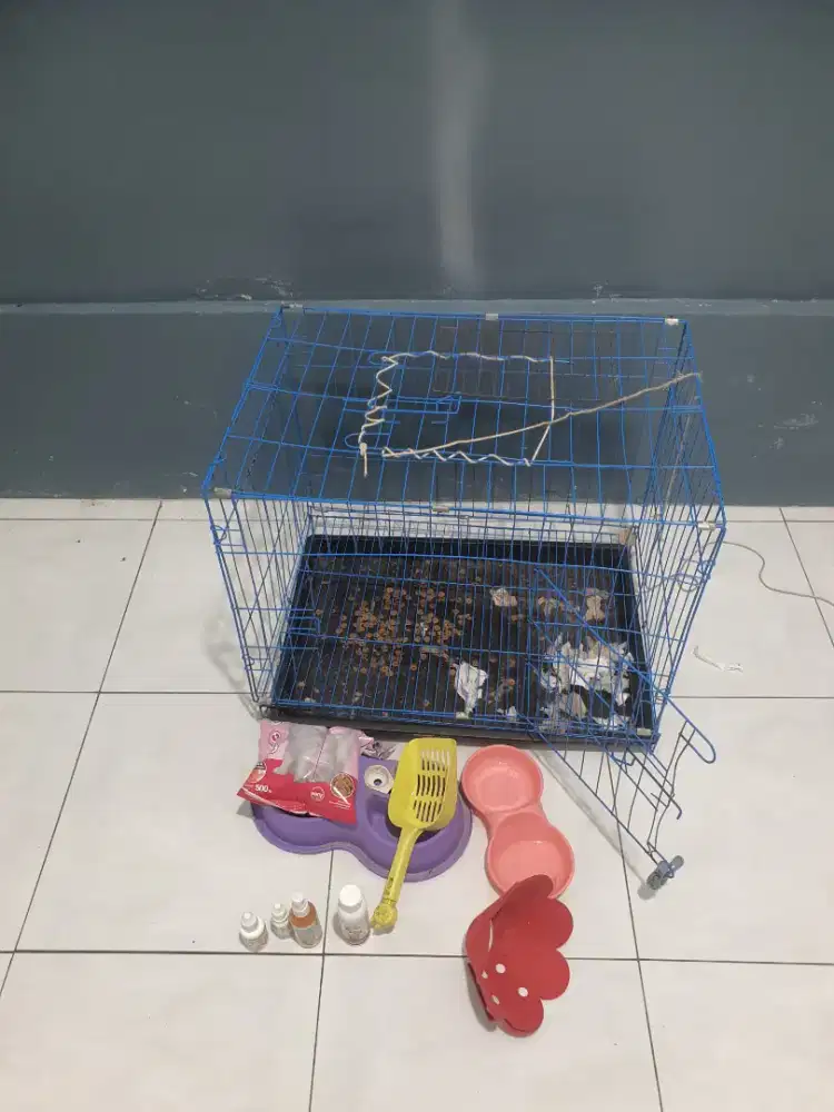 Kandang kucing lokasi batu