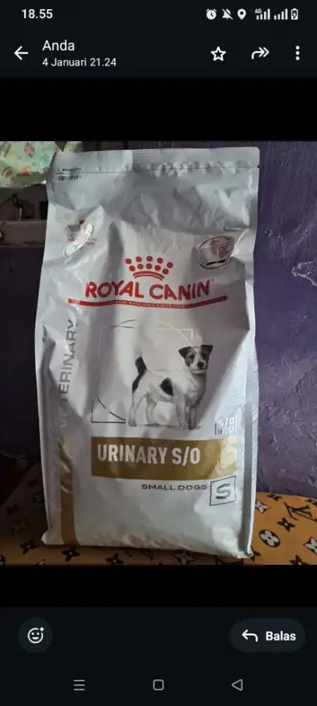 Makan anjing royal canin
