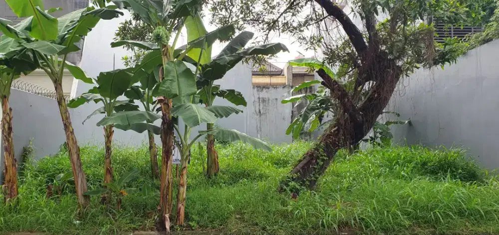 Di jual Tanah Kavling lokasi asri untuk tempat tinggal harga Nego