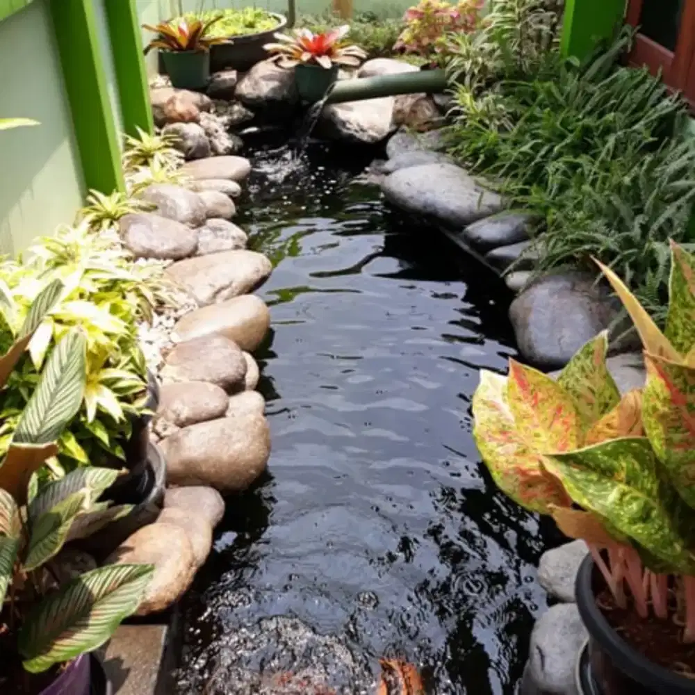 Pembuatan taman kolam natural