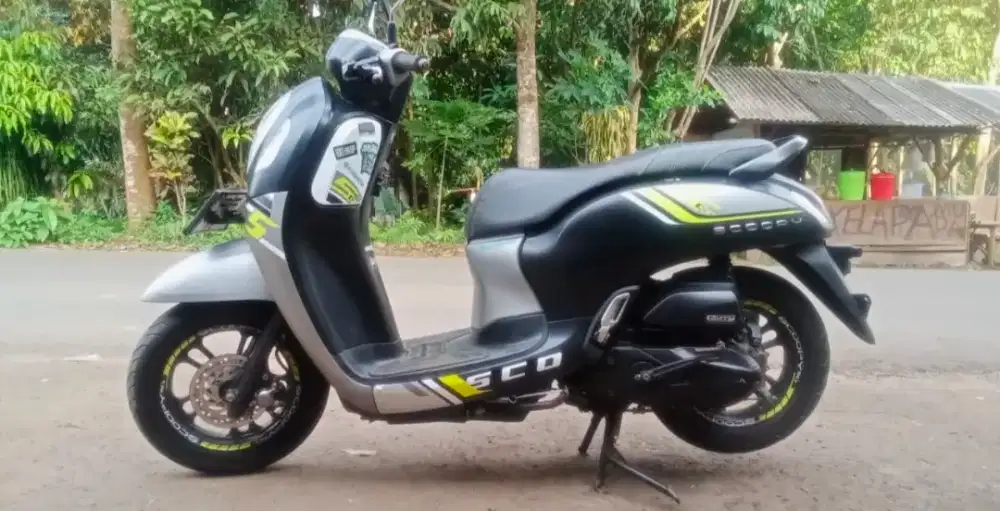 HONDA Scoopy donat