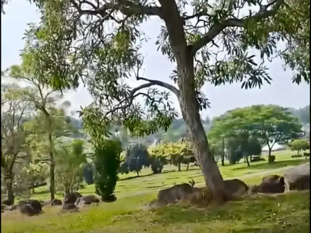 Takeover Makam Burial Single Burial Humming Bird San Diego Hills