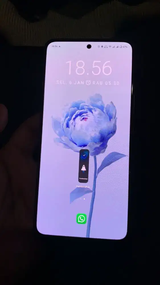 Vivo V29E 8/256 5G NEGO