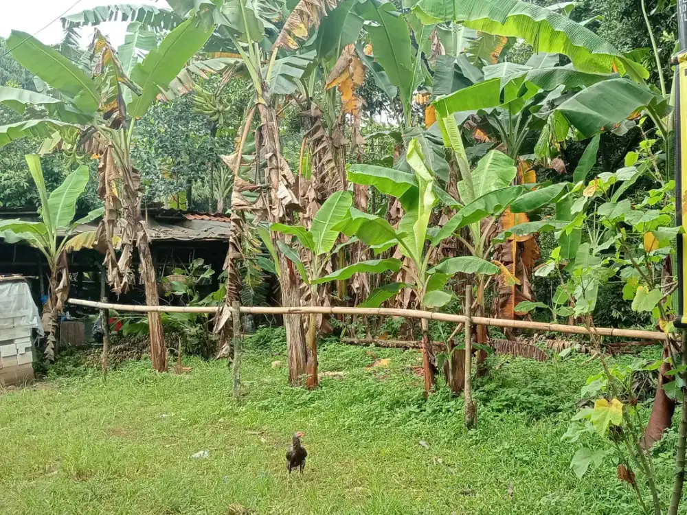 Dijual cepat tanah strategis di Leuwinanggung