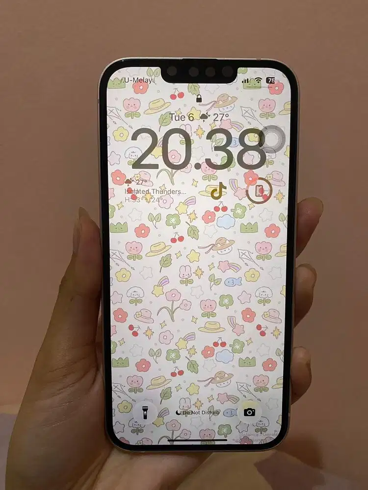 Iphone 13 pink inter