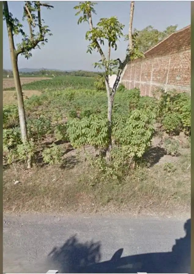 Butuh uang Di Jual Cepat