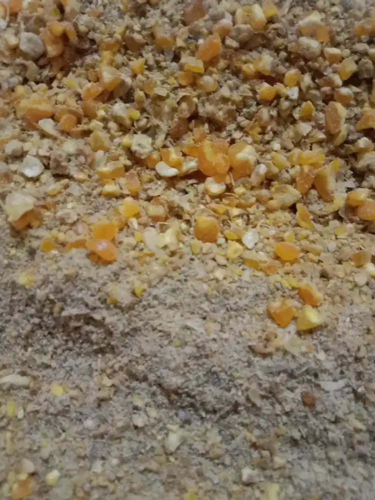 Dibutuhkan Marketing Online Pengalaman