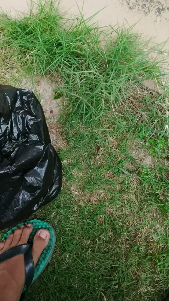 Terapis mesege atau terapis pijat