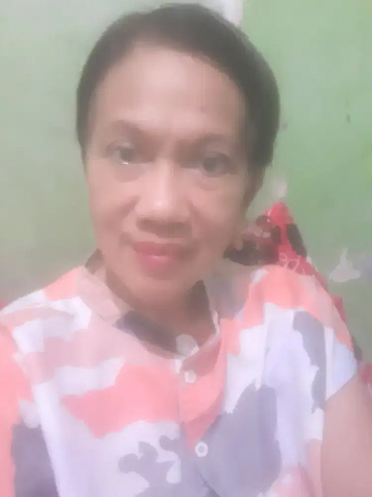 freelance bersihkan rumah