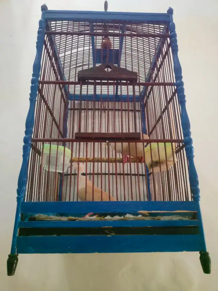 Puter pelung sak sangkare