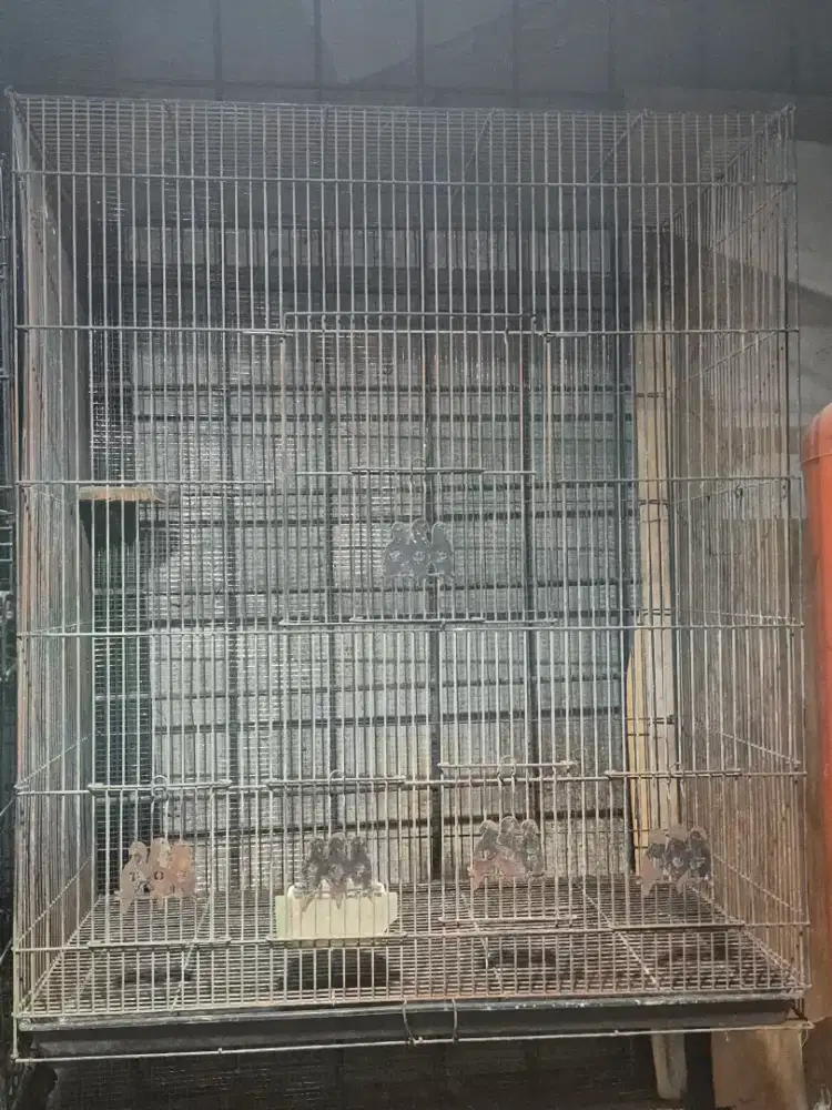 Dijual kandang 75x45x90