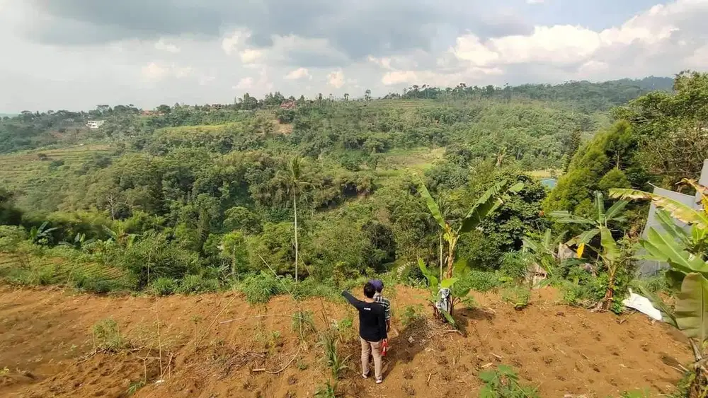 JUAL TANAH PANCAWATI LOKASI STRATEGIS