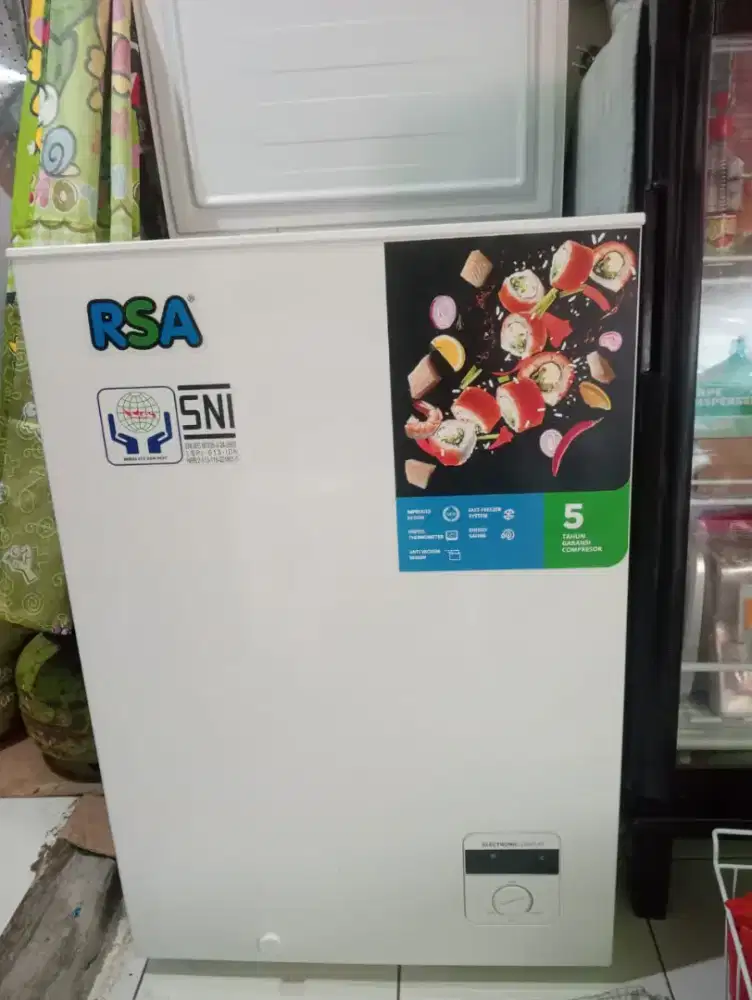 Frezeer RSA kapasitas 100lt